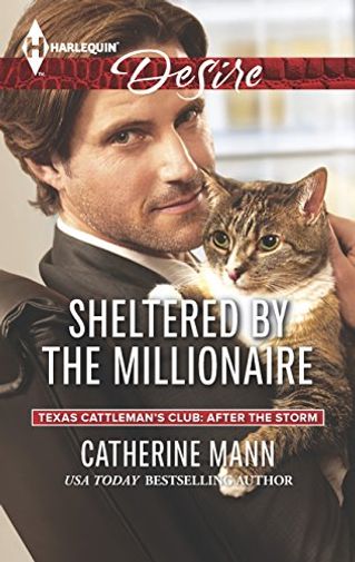 Sheltered by the Millionaire
