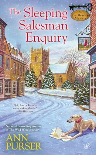 The Sleeping Salesman Enquiry