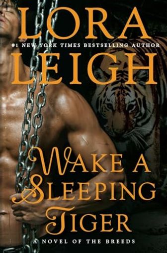 Wake A Sleeping Tiger