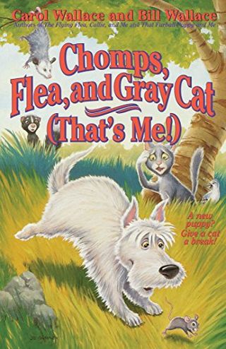Chomps, Flea, and Gray Cat