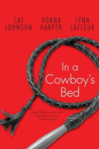 In a Cowboy's Bed