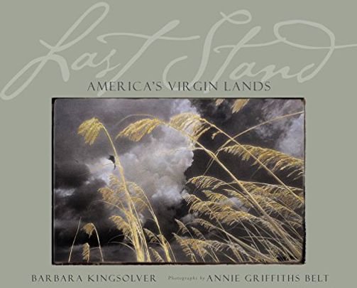 Last Stand: America's Virgin Lands