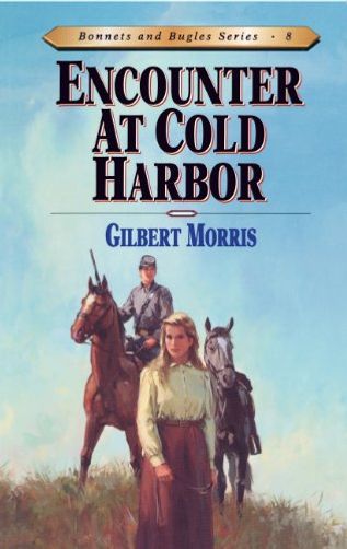 Encounter at Cold Harbor