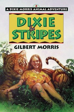 Dixie & Stripes