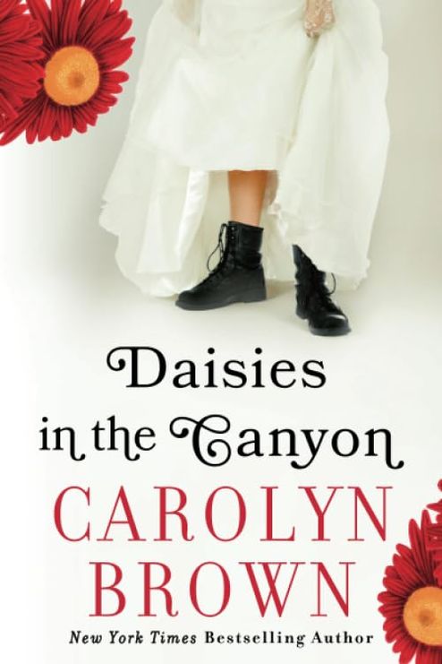 Daisies in the Canyon