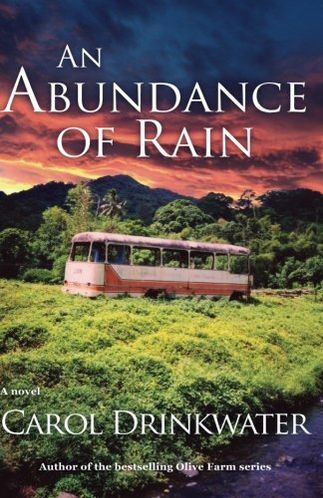 An Abundance of Rain