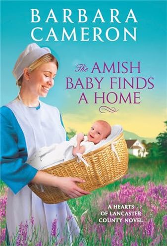 The Amish Baby Finds a Home
