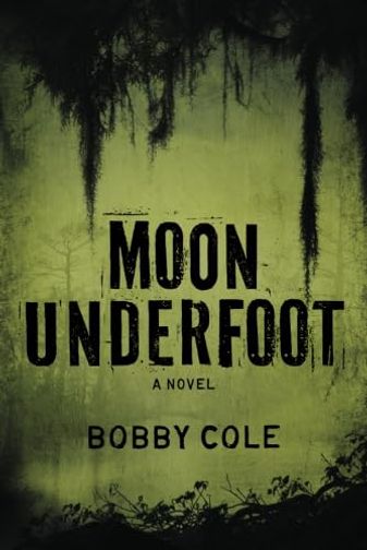 Moon Underfoot
