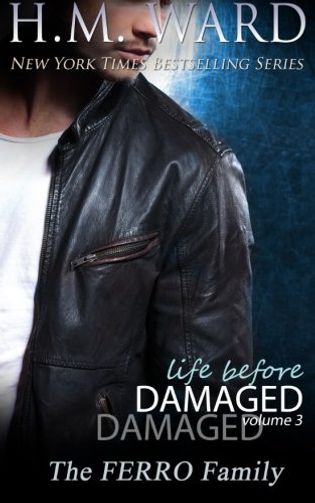 Life Before Damaged, Volume 3
