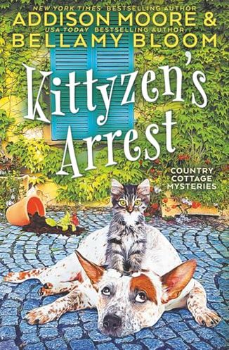 Kittyzen's Arrest