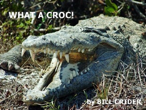 What a Croc!