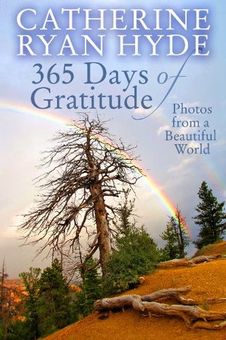 365 Days of Gratitude
