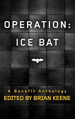 Operation Ice Bat