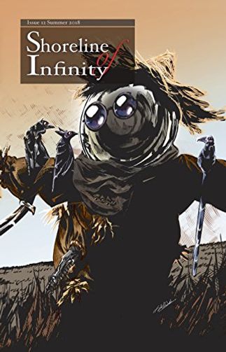 Shoreline of Infinity 12