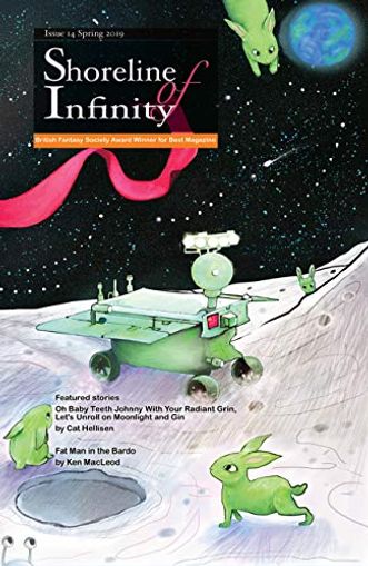 Shoreline of Infinity 14