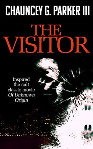 The Visitor