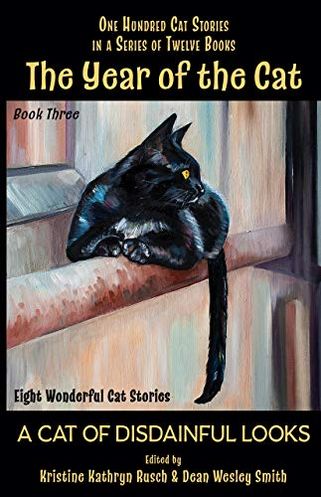 A Cat of Disdainful Looks