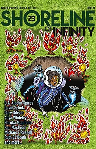 Shoreline of Infinity 23