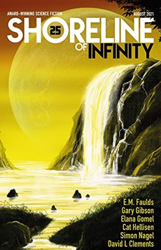 Shoreline of Infinity 25
