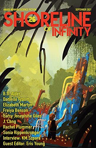 Shoreline of Infinity 26