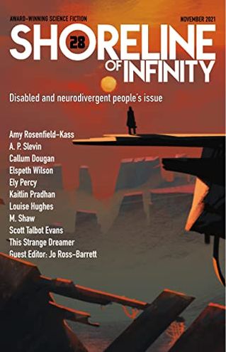 Shoreline of Infinity 28