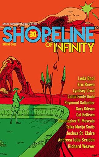 Shoreline of Infinity 30