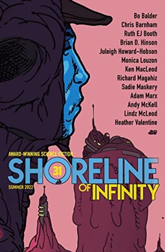 Shoreline of Infinity 31