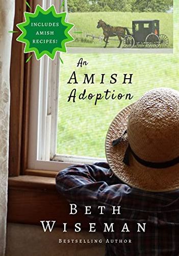 An Amish Adoption