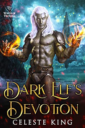 Dark Elf's Devotion