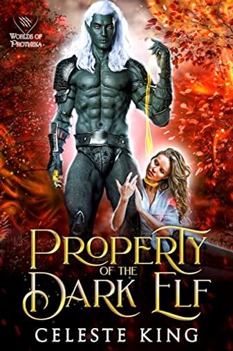 Property of the Dark Elf