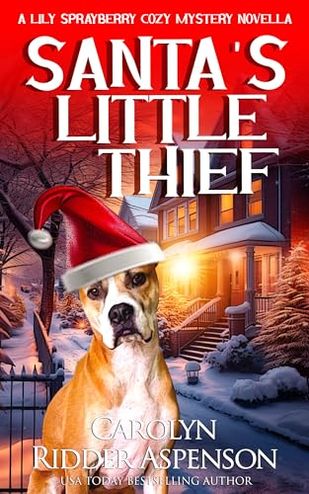 Santa's Little Thief