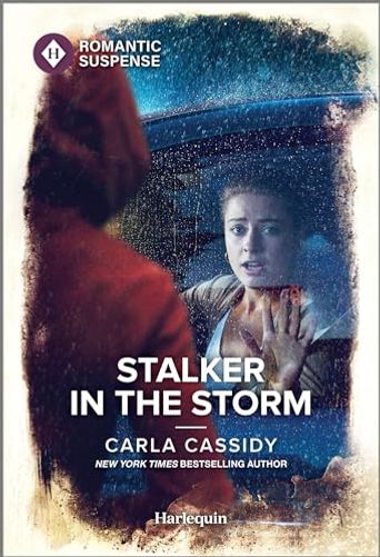 Stalker in the Storm