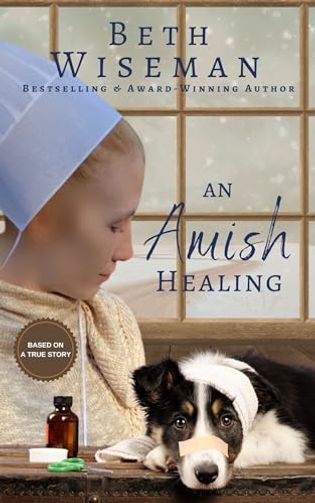 An Amish Healing