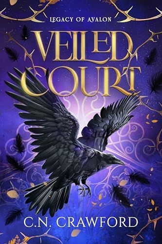 Veiled Court